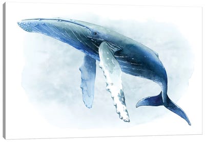 Watercolor Humpback II Canvas Art Print - Whale Art