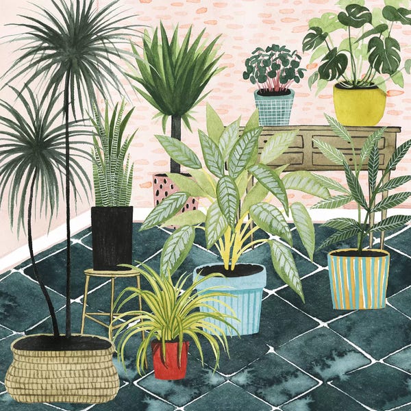Succulents: Modern Jungle II by Grace Popp