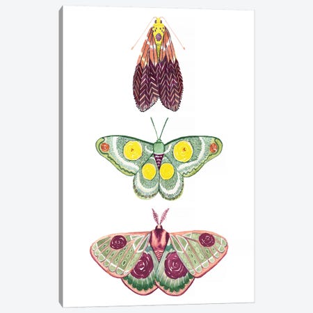 Moth Fairies I Canvas Print #POP1174} by Grace Popp Canvas Art
