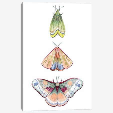 Moth Fairies II Canvas Print #POP1175} by Grace Popp Canvas Artwork