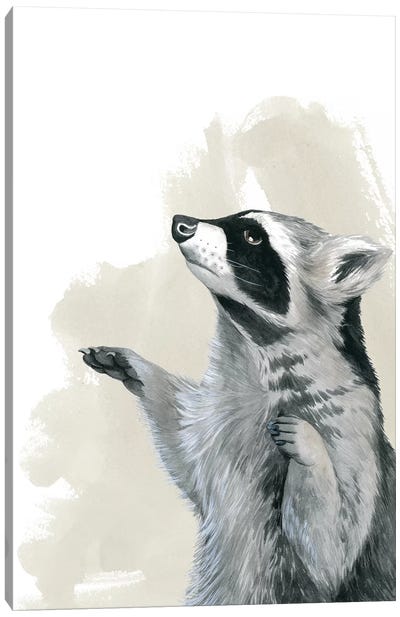 Timberland Friend IV Canvas Art Print - Raccoon Art