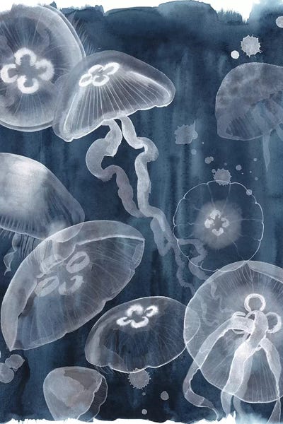 Jellyfish: Moon Jellies I by Grace Popp