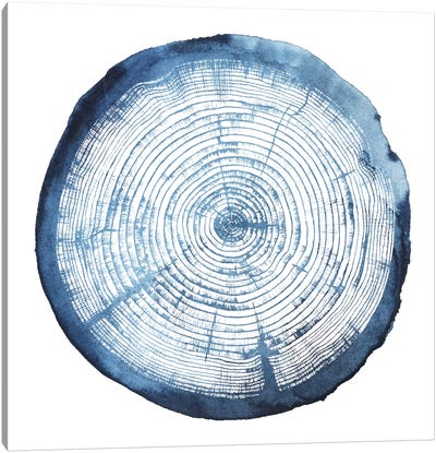 Tree Ring Overlay I Canvas Art Print - Indigo & White 