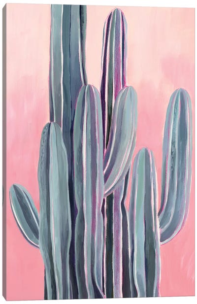 Desert Dawn II Canvas Art Print - Cactus Art