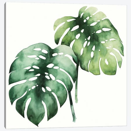 Tropical Plant I Canvas Print #POP129} by Grace Popp Art Print