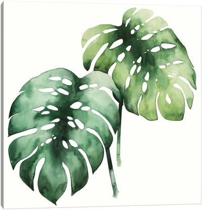 Tropical Plant I Canvas Art Print - Monstera Art