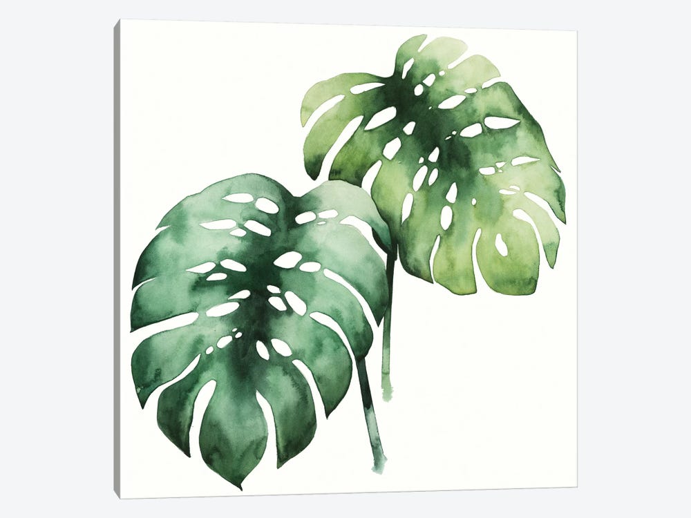 Tropical Plant I by Grace Popp 1-piece Canvas Art