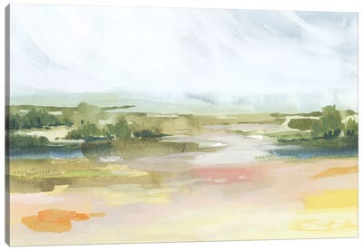 Sunlit Marsh II Canvas Art Print - Grace Popp