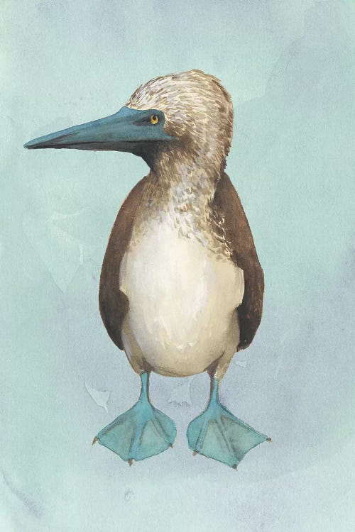 Watercolor Beach Bird I by Grace Popp wall art