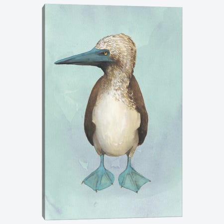 Watercolor Beach Bird I Canvas Print #POP1350} by Grace Popp Canvas Art Print