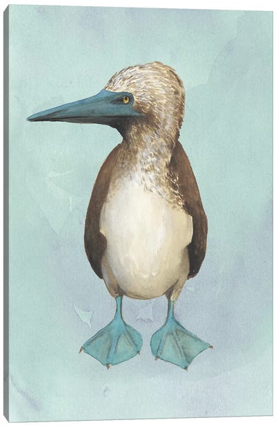 Watercolor Beach Bird I Canvas Art Print - Grace Popp