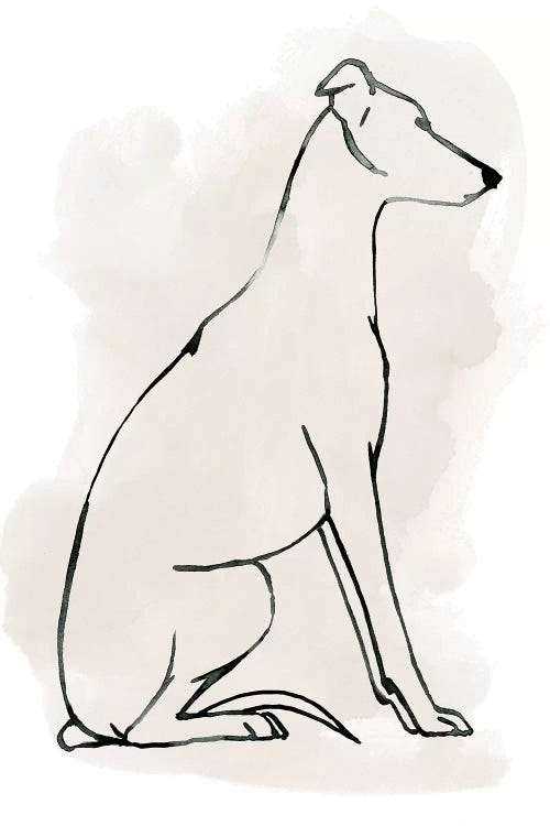 Greyhound Sketch I by Grace Popp wall art
