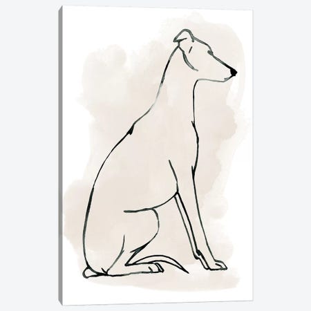 Greyhound Sketch I Canvas Print #POP1370} by Grace Popp Canvas Art Print