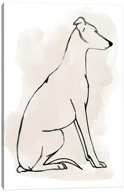 Greyhound Sketch I Canvas Art Print - Greyhound Art