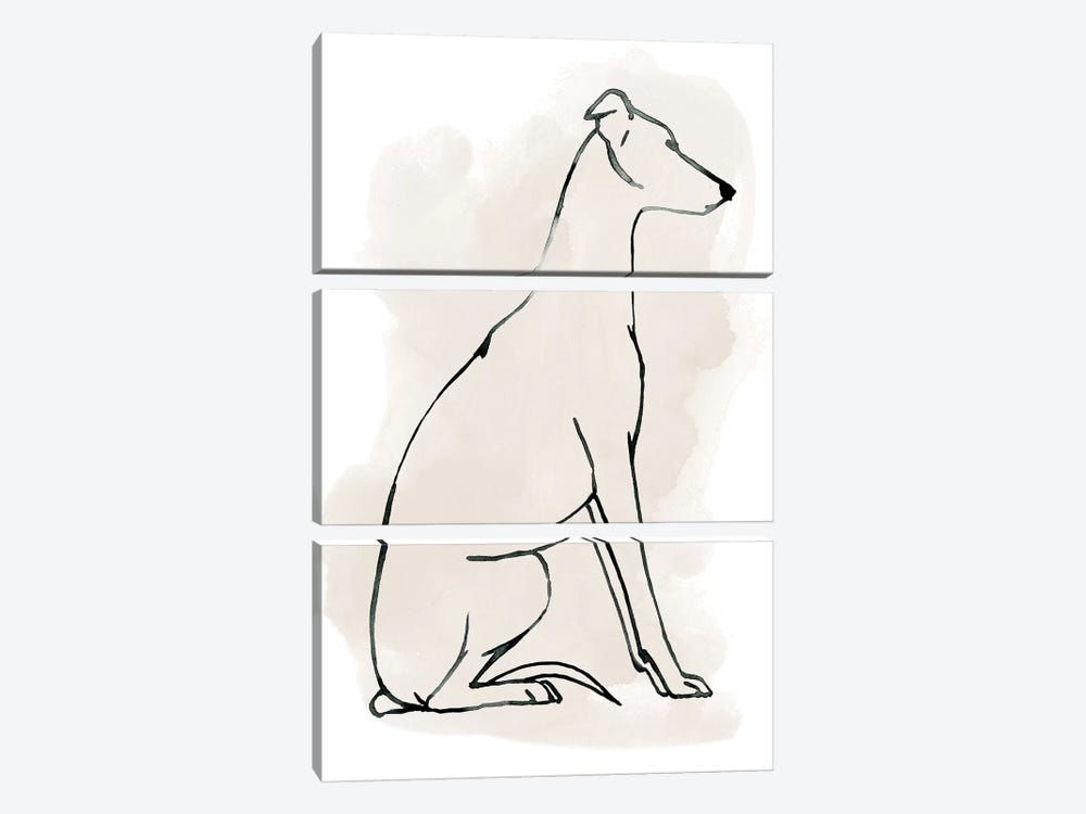 Greyhound Sketch I by Grace Popp 3-piece Canvas Art