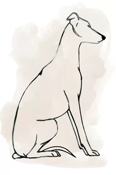 Greyhounds: Greyhound Sketch I by Grace Popp