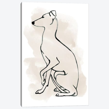 Greyhound Sketch II Canvas Print #POP1371} by Grace Popp Canvas Art Print