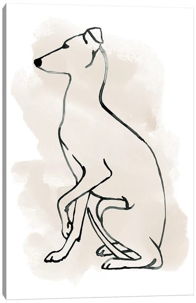Greyhound Sketch II Canvas Art Print