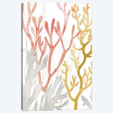Desert Coral I Canvas Print #POP1492} by Grace Popp Canvas Wall Art