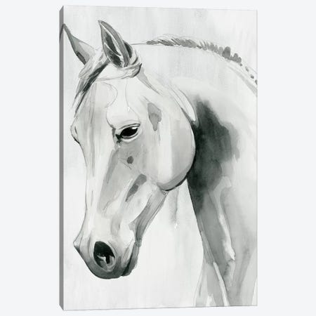 Horse Whisper I Canvas Print #POP1502} by Grace Popp Canvas Art