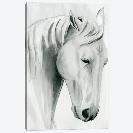 Horse Whisper II Canvas Print #POP1503} by Grace Popp Canvas Art