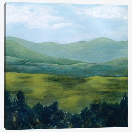 Open Valley I Canvas Print #POP1518} by Grace Popp Canvas Art Print