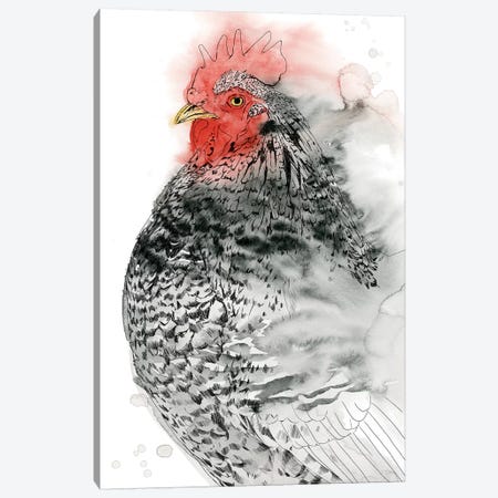 Plymouth Rooster I Canvas Print #POP1522} by Grace Popp Canvas Artwork