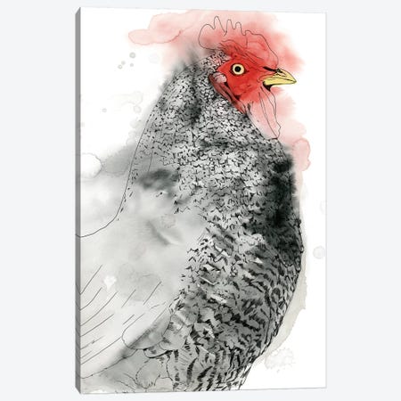 Plymouth Rooster II Canvas Print #POP1523} by Grace Popp Canvas Artwork