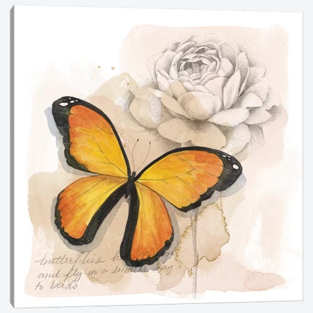 Shadow Box Butterfly IV Canvas Print #POP1529} by Grace Popp Canvas Wall Art