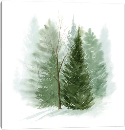 Walk in the Woods I Canvas Art Print - Pine Tree Art
