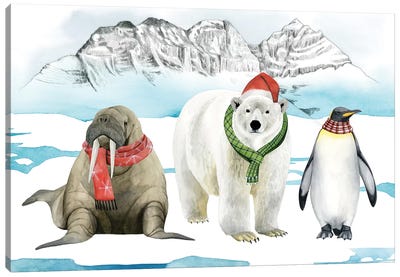 Arctic Animal Collection A Canvas Art Print - Walruses