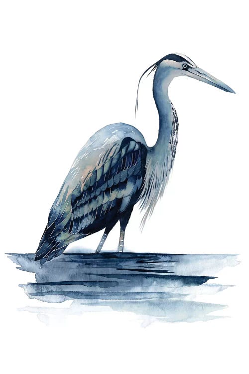 Azure Heron II