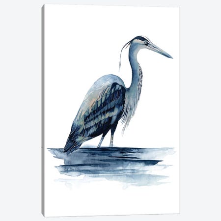 Azure Heron II Canvas Print #POP160} by Grace Popp Canvas Print