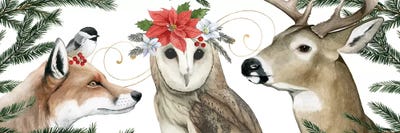 Timberland Christmas Collection D by Grace Popp framed canvas print