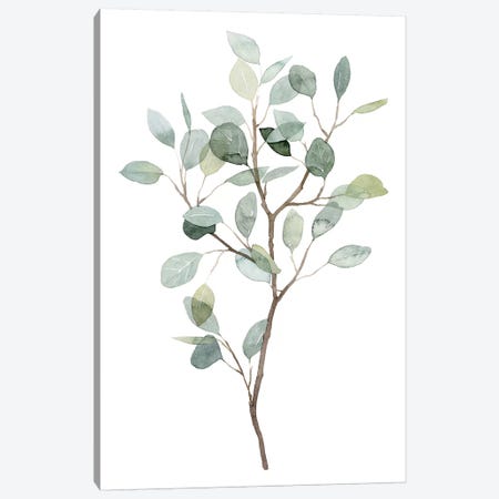 Seaglass Eucalyptus I Canvas Print #POP1935} by Grace Popp Canvas Art
