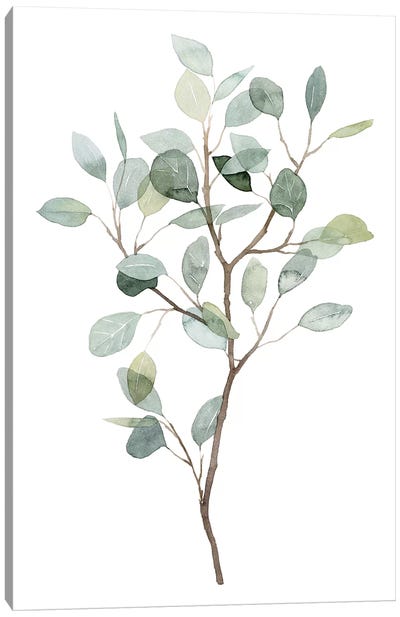 Seaglass Eucalyptus I Canvas Art Print - Eucalyptus Art