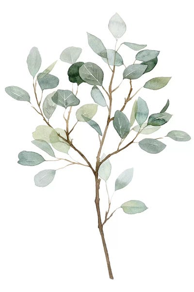 Seaglass Eucalyptus II by Grace Popp art print