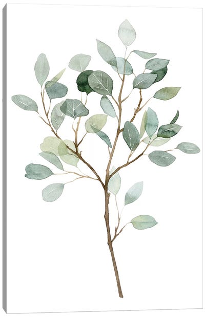 Seaglass Eucalyptus II Canvas Art Print - Grace Popp