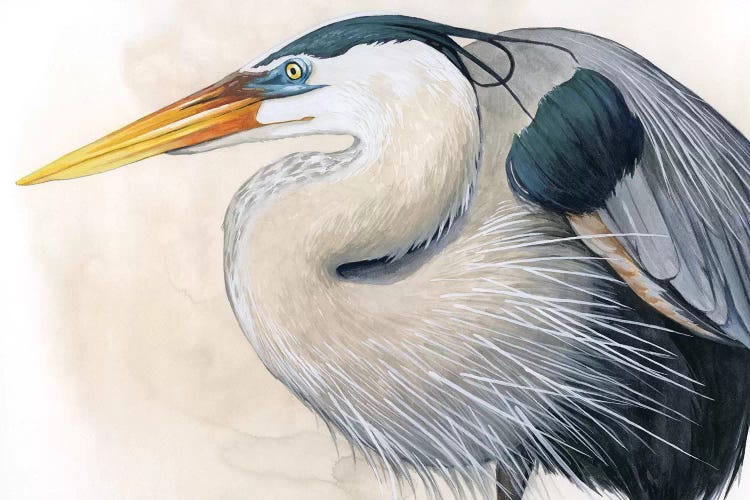 Blue Hunter I by Grace Popp wall art