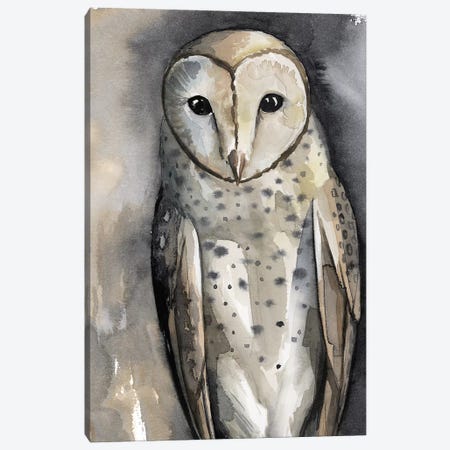 CA10 Owls Color Book 8.25 x11
