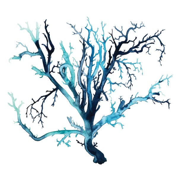 Coral: Fan de la Mer III by Grace Popp