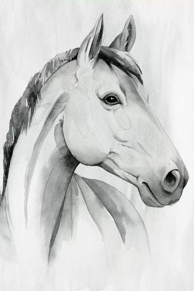 Silver Gelding I by Grace Popp multi panel art