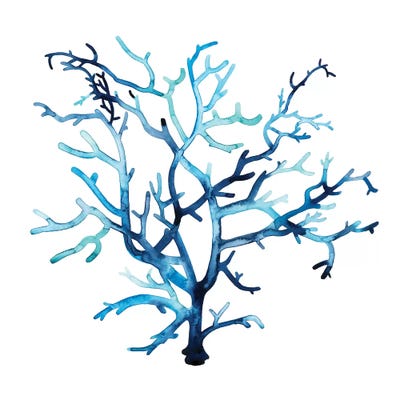 Fan de la Mer VI by Grace Popp art print