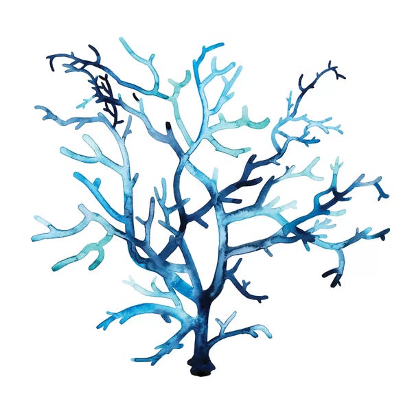 Coral: Fan de la Mer VI by Grace Popp