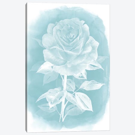 Ghost Rose I Canvas Print #POP209} by Grace Popp Canvas Wall Art
