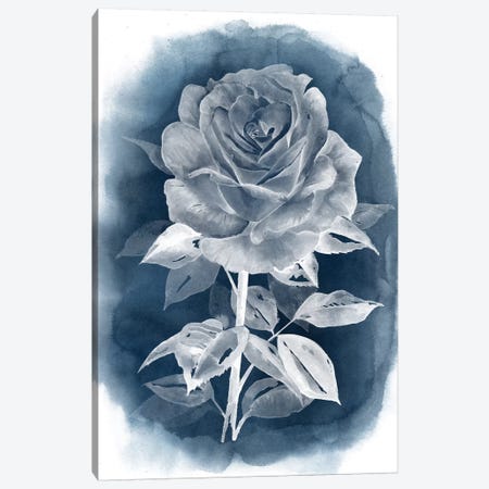 Ghost Rose III Canvas Print #POP211} by Grace Popp Art Print