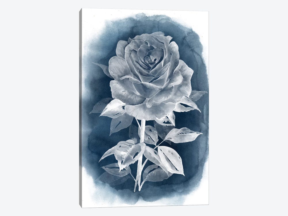 Ghost Rose III by Grace Popp 1-piece Canvas Art Print