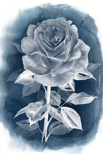 Grace Popp: Ghost Rose III by Grace Popp