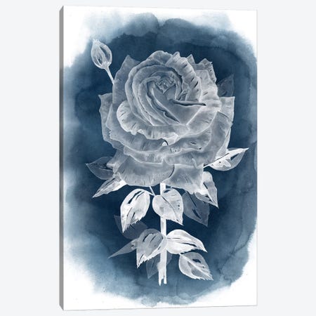 Ghost Rose IV Canvas Print #POP212} by Grace Popp Canvas Print