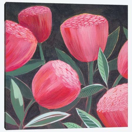 Blush Blossoms I Canvas Print #POP2146} by Grace Popp Canvas Print